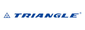 triangle Logo 2